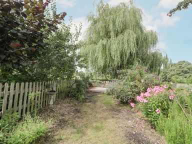 A garden path with flowers and a wooden fence and a large weeping willow tree at Abbey Cottage Montacute in Montacute