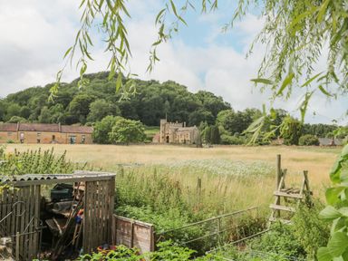 A rural field with wild plants a wooden shed and a stone building in the distance at Abbey Cottage Montacute in Montacute