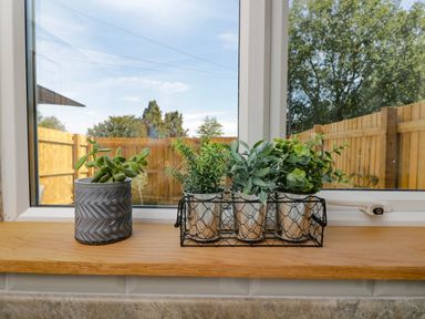 A windowsill with four small potted plants three in metal pots in a wire basket and one in a ceramic pot at Troopers Cottage Frome