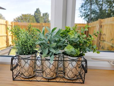 Three metal pots with green plants in a black wire basket on a wooden windowsill at Troopers Cottage in Frome