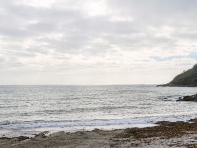 A sandy beach with seaweed and waves at a coastline with a hill covered in trees at Toadstools in Rame Cross near Penryn
