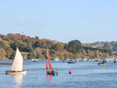 A body of water with two small sailboats and many moored boats near a wooded shore at Toadstools in Rame Cross near Penryn
