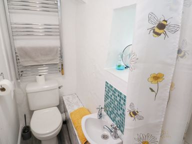 A small bathroom with a toilet sink and shower curtain with bee designs at Toadstools Rame Cross near Penryn
