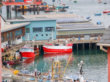 A harbor with multiple fishing boats docked near industrial buildings and a pier at Quayside View in Brixham