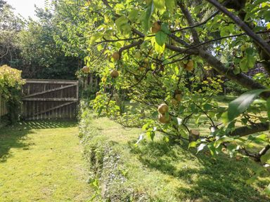 A garden with grass a wooden gate and a tree with fruit at Westmorland Cottage in Grange-Over-Sands