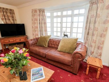 A living room with a brown leather sofa with green cushions a wooden coffee table with flowers binoculars and a magazine a wooden side table a wooden TV stand with a flat screen TV floral curtains and a window at Coquet View Cottage in Rothbury