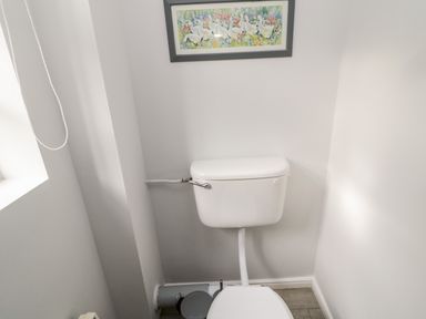 A toilet with a cistern and a framed picture above it at Coquet View Cottage in Rothbury