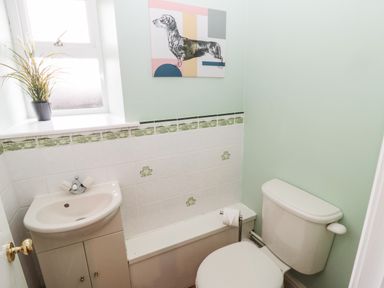 A small bathroom with a toilet and sink with cupboard and a window with a plant on the sill and artwork of a dog at The Steadings in Rothbury