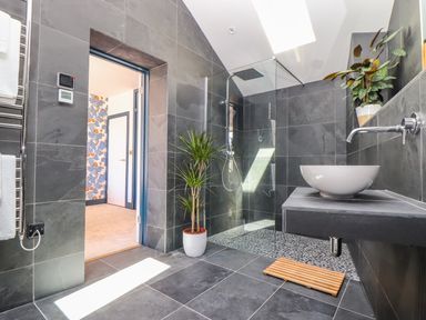 A bathroom with a walk-in shower and a potted plant at See Two Seas Cape Cornwall in St Just
