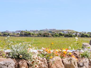 A field with flowers and stone wall with houses on a hill at See Two Seas Cape Cornwall in St Just