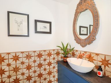 A bathroom corner with a blue vanity a white oval sink a copper faucet an ornate mirror two framed animal sketches and a plant at See Two Seas Cape Cornwall in St Just