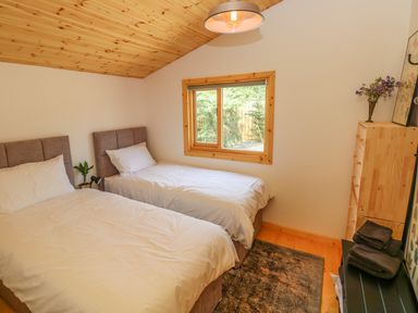 A bedroom with two single beds a window a chest of drawers and a hanging light at Willow Lodge in St Florence