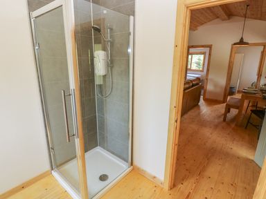 A shower with glass doors and tiled walls next to a wooden floor hallway with a dining table and chairs at Willow Lodge in St Florence