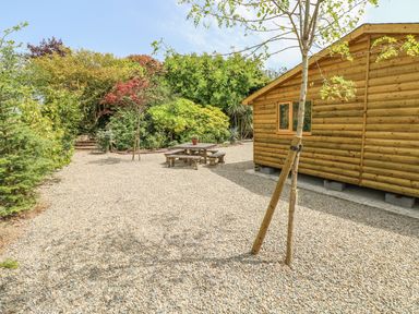 A wooden cabin beside a gravel yard with picnic table and trees at Willow Lodge in St Florence