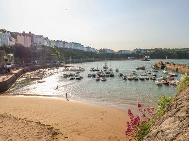A harbor with boats docked and a sandy beach with buildings on a hill in the background at Willow Lodge in St Florence