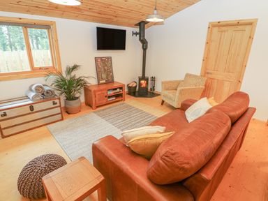 A living room with a leather sofa armchair wood burning stove and television at Willow Lodge in St Florence
