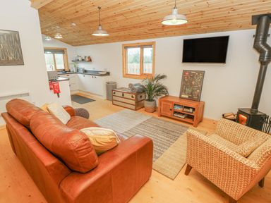 A living room with a leather sofa armchair wood burning stove and kitchen area at Willow Lodge in St Florence