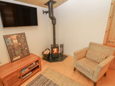 A corner room with a wood burning stove armchair wooden cabinet and wall mounted television at Willow Lodge in St Florence