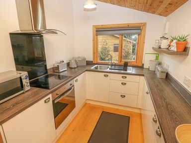 A kitchen with wooden countertops white cabinets a cooktop microwave toaster kettle and a window overlooking a wooden building at Willow Lodge in St Florence