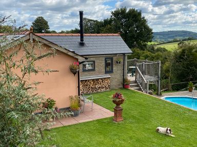 A garden with a small building wood storage a pool and a dog lying on the grass at The Hideout in Llangrove