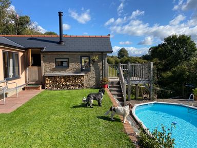 A backyard with two dogs on grass near a pool and a small house with stacked firewood at The Hideout in Llangrove