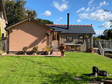 A backyard with a stone and brick house a wood stack flowers in pots a wooden deck and a dog lying on the grass at The Hideout in Llangrove
