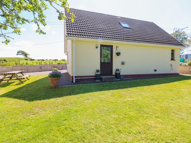 A side view of a house with a grass lawn picnic table and flowerpot at Mill View in Neyland