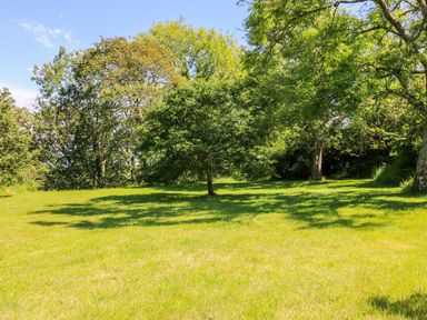 A grassy area with several trees casting shadows under a blue sky at Mill View in Neyland