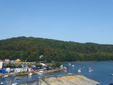 A harbor with boats docked near a forested hill at Harbour View Apartment in Looe