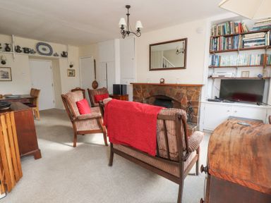 A living room with chairs a fireplace a TV and bookshelves at Brackenbury Cottage in Beddgelert