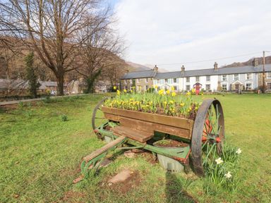 A green field with a wooden cart filled with yellow flowers and houses in the background at Brackenbury Cottage in Beddgelert