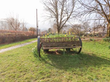 A garden area with a wooden cart planter filled with yellow flowers near a path and houses at Brackenbury Cottage in Beddgelert
