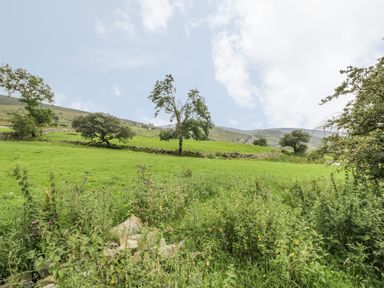 A grassy field with scattered trees under a partly cloudy sky at Marchlyn in Deiniolen