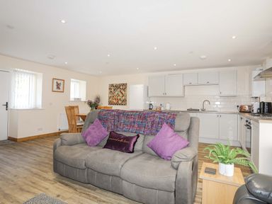 An open living room and kitchen with a grey sofa and purple cushions at Ffynnon Bach in Deiniolen
