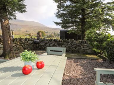 An outdoor seating area with a wooden table, two apples, a small plant, stone wall, trees, and a barbecue grill at Ffynnon Bach in Deiniolen