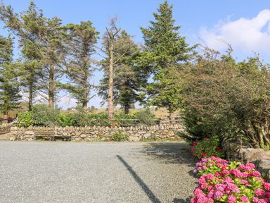 An outdoor gravel area with a stone wall trees and pink flowers at Ffynnon Bach in Deiniolen