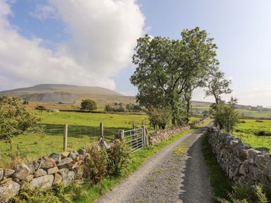 A gravel country road lined with stone walls and trees with fields and a mountain in the background at Ffynnon Bach in Deiniolen