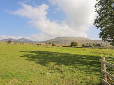 A green field with scattered trees and a wooden fence with mountains in the background at Ffynnon Bach in Deiniolen
