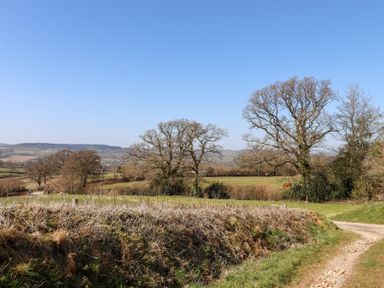 A rural landscape with leafless trees a dirt path and fields with horses at The Shippon at Wyke Farm in Lyme Regis