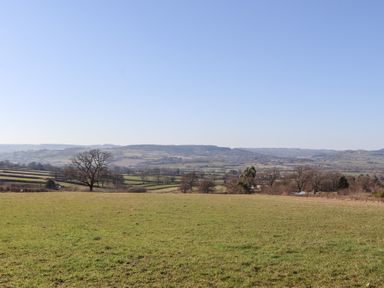 A grassy field with scattered trees and rolling hills in the background at The Shippon at Wyke Farm in Lyme Regis