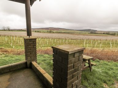 A covered patio with brick pillars overlooking a field with tree guards and hills in the background at Glanton in Longframlington