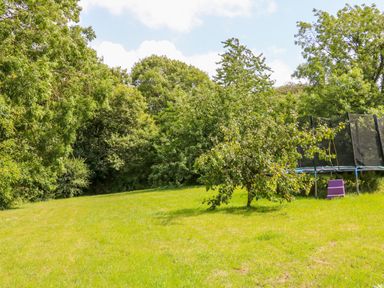 A grassy yard with a small tree and a trampoline surrounded by larger trees at The Shippon in Barnstaple