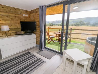 A room with wooden walls a white dresser a television a lamp a striped rug and patio doors leading to a balcony with a table chairs and a hot tub at Cilan Lodge in Llandrillo