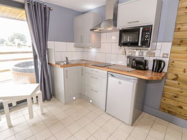 A kitchen with a countertop stove microwave small refrigerator toaster and kettle at Cilan Lodge in Llandrillo