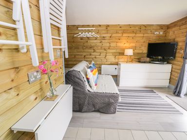 A small living area with a sofa a white dresser a TV and a vase with flowers at Cilan Lodge in Llandrillo