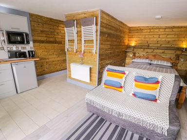 A studio room with a wooden paneled wall a bed sofa with patterned cushions and a small kitchen area with appliances at Cilan Lodge in Llandrillo