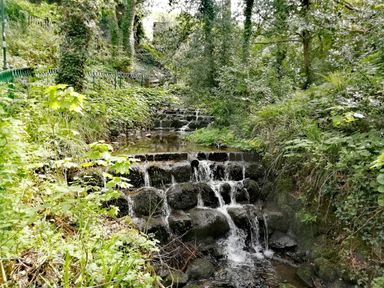 A small stepped waterfall in a forested area with green plants and a metal fence at Llys Madoc The Top Flat in Penmaenmawr