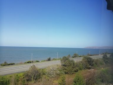 A coastal road with streetlights beside the sea and trees in the foreground at Llys Madoc The Top Flat in Penmaenmawr