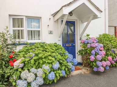 A blue door with a white porch surrounded by blooming hydrangeas at 2 Primrose Cottage in Saundersfoot
