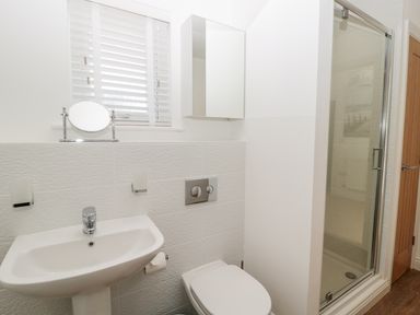 A bathroom with a pedestal sink toilet shower and a wall-mounted cabinet at Waterside in Beadnell